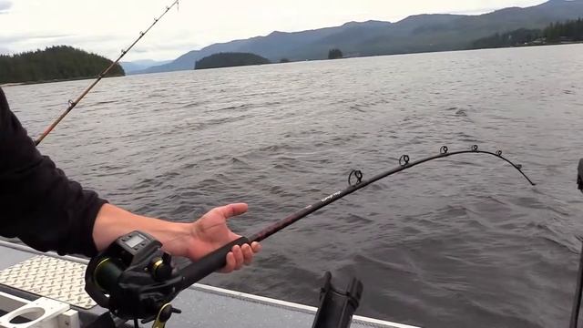 How to Catch Magister Armhook Squid Using Electric Reels смотреть онлайн