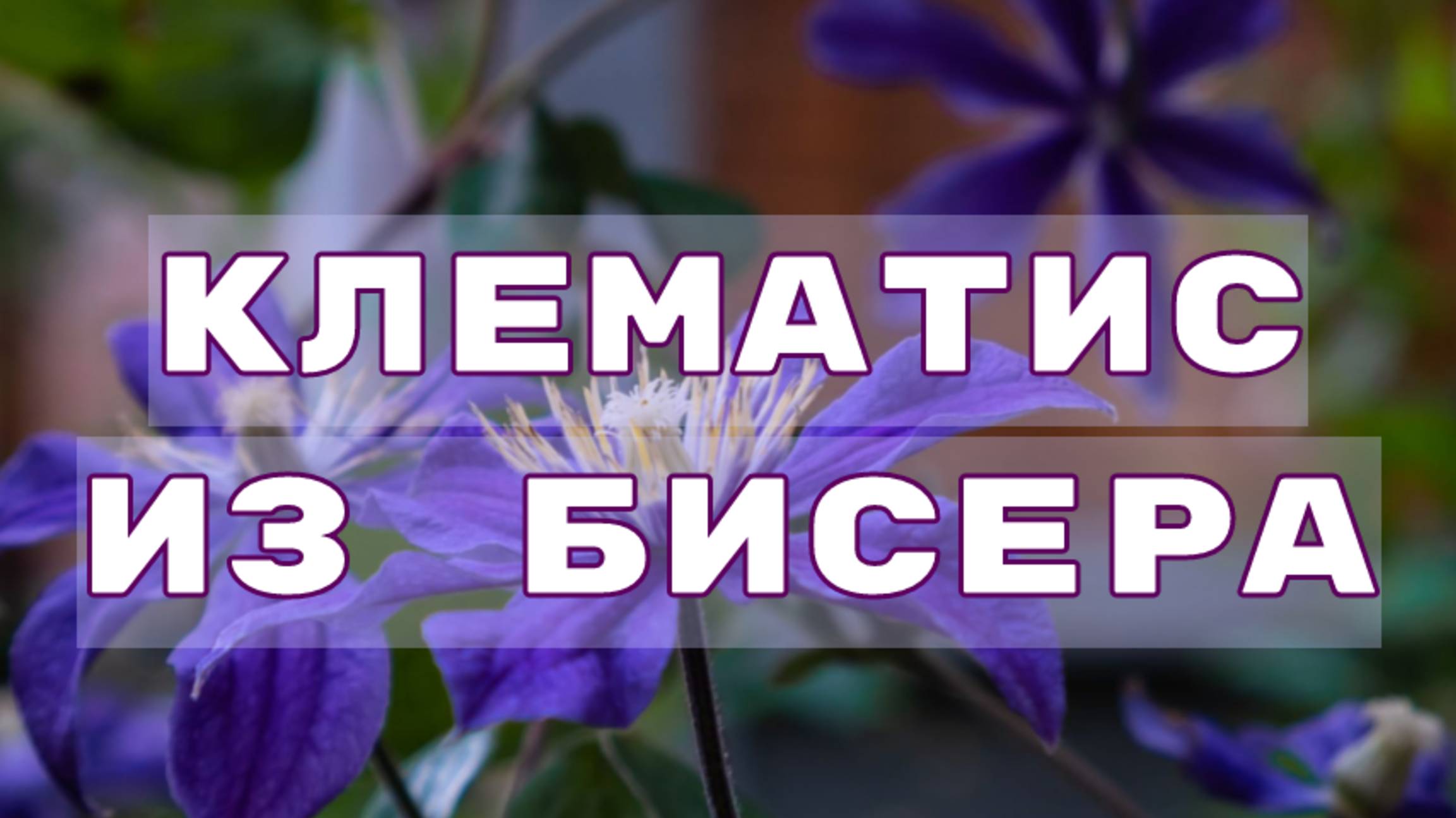 Цветок клематиса из бисера в технике "Пейот". Бисероплетение. Мастер класс. смотреть онлайн