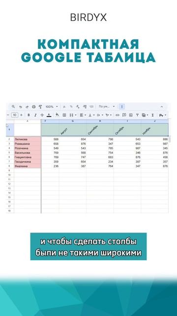 Birdyx. Excel и Google таблицы для бизнеса