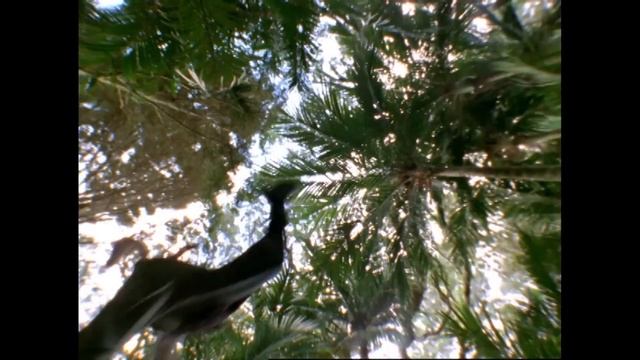 Top 10 Pink Power Rangers | Power 10s | Power Rangers Official