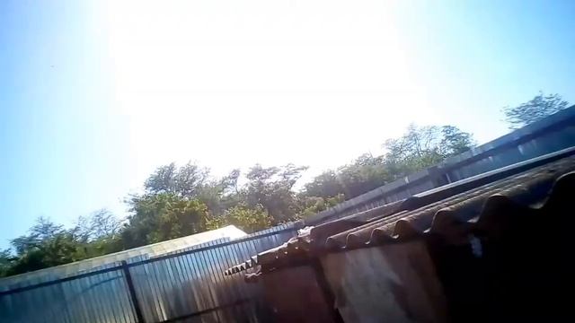 Цыплята. Вьетнамские свиньи. Гусята. Мускусные утята смотреть онлайн