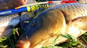 Нашел речку где вода кипит от рыбы!!! Бешеный клев на поплавок и донки