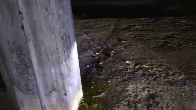 Review Led H4 CSP Vs H4 Mini Projie RTD Rayton A86 M01B