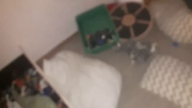 снимаю видеоролик про Растения про попугая смотреть онлайн