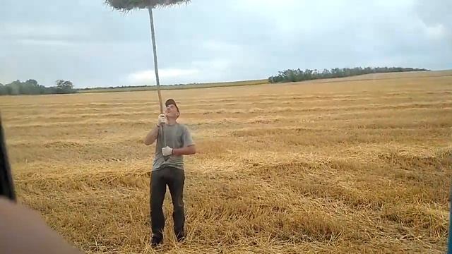 Уборка сена смотреть онлайн