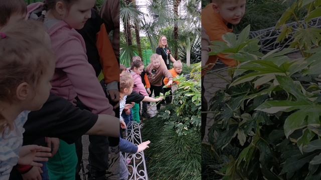 Экскурсия в ботанический сад смотреть онлайн