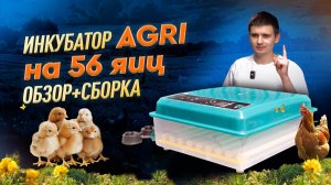 Обзор на инкубатор AGRI на 56 яиц