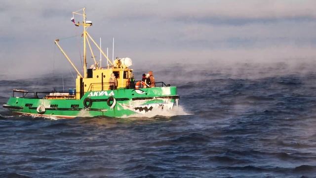 У моря за пазухой смотреть онлайн