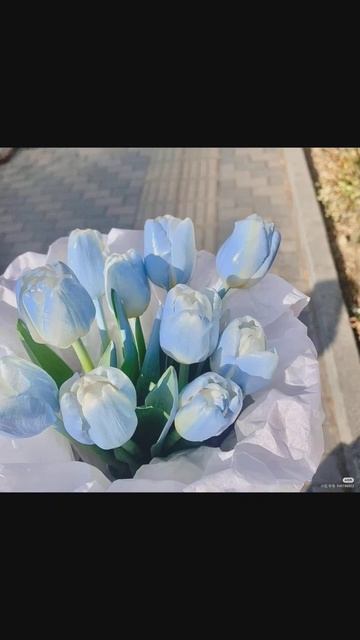 Пов:что люблю больше своей жизни#13_карт#ос#trend #рекомендации # gachaclub смотреть онлайн