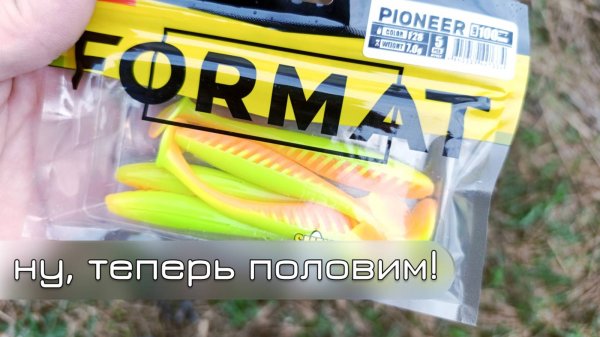 Iam Company Format PIONEER 2025