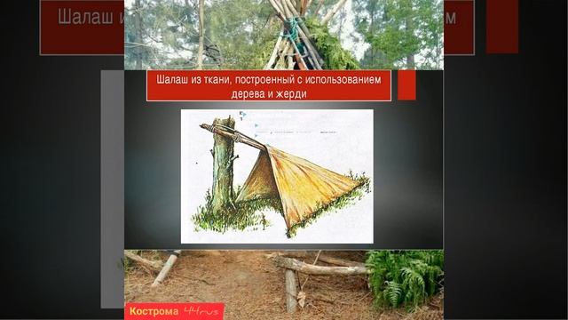 Некоторые виды укрытий в лесу смотреть онлайн