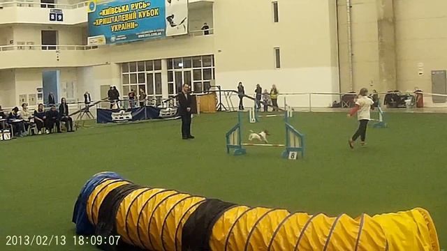 Фомина Ирина и дрт Рэдрик 9 место Дебют смотреть онлайн