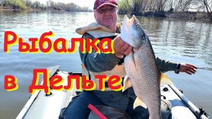 Рыбалка в Дельте Волги апрель 2025г