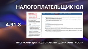 НАЛОГОПЛАТЕЛЬЩИК ЮЛ 4.91.3 ПРОГРАММА ДЛЯ ЮЛ И ФЛ ОТ ФНС