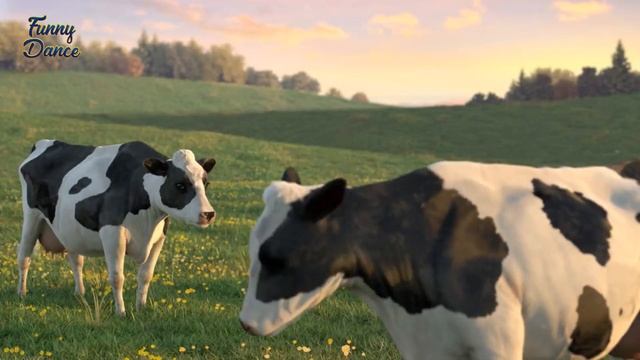 FUNNY COW DANCE 8 │ Cow Song & Cow Videos 2024 Crazy Amazing Animals