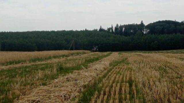 Скос пшеницы / МТЗ 923 / СТ 70 смотреть онлайн