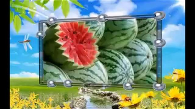 Наши арбузы