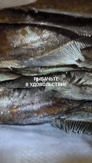 Вяленый ёрш едет в Республику Крым.