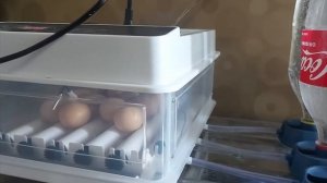 household Intelligent incubator testing gagana kaya?