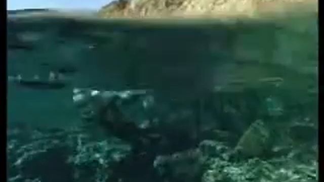 Dahab Tec Divers clip.WMV