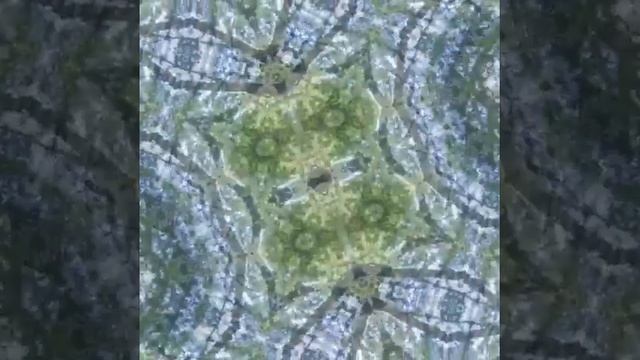 прогулка в сосновую рощу смотреть онлайн