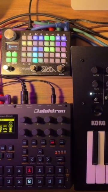 Minilogue XD + ZOIA + Digitakt #digitakt #elektron #zoia #empresseffects #jam #miniloguexd #korg смотреть онлайн