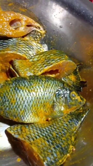 Big Size Jaapani Fish Fry 🤤🤤#shorts #cookingshorts