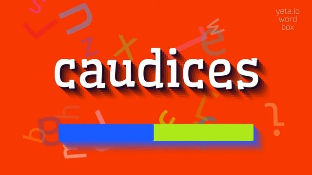 HOW TO PRONOUNCE CAUDICES?