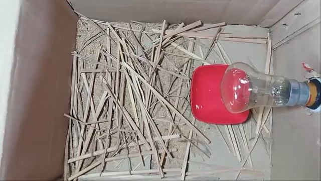 How to make a mini Egg Incubator at home || Cardboard Box Egg Incubator смотреть онлайн