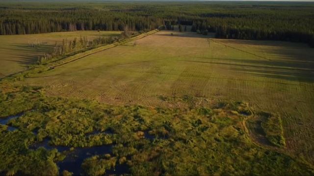 Dji mini 2 / Cinematic / "Chuukaar" смотреть онлайн