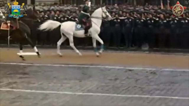 Бабичев Петр Алексеевич, Герой Советского Союза, биография, проект 