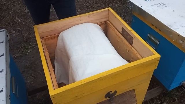 Пасічник вихідного дня. Які бджоли кращі? Система 12 рамкових вуликів смотреть онлайн