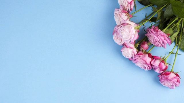 Танцуй если знаешь этот тренд/Танцуй если знаешь тренд тик ток/Флешмоб 2020 смотреть онлайн