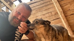 Can One Man Save HUNDREDS of Dogs?