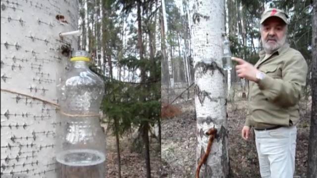 ЮРа Комаров-Миргородский