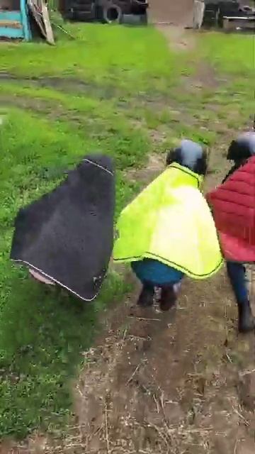 конные гномики🤣😂 #horse #лошади #equestrian #pony #лошадь смотреть онлайн