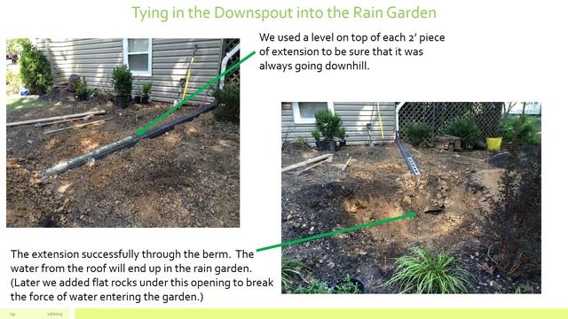 Creating a Rain Garden смотреть онлайн