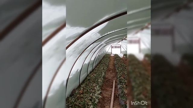 Борьба со снегом ч. 2 смотреть онлайн
