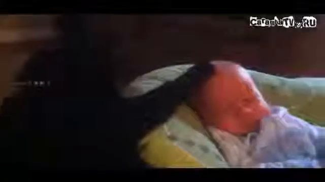 Самое прикольное видео cat lulls baby Снотворный кот нянька смотреть онлайн