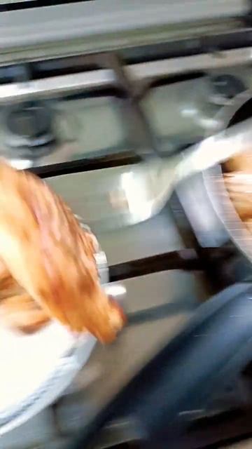 Fried Fish#shorts #shortsvideo