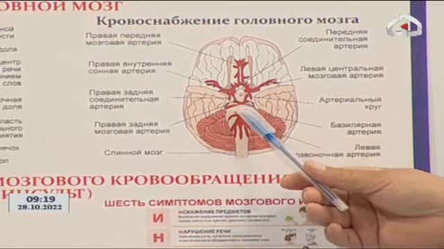 Инсультка каршы күрөшүүнүн Эл аралык күнү