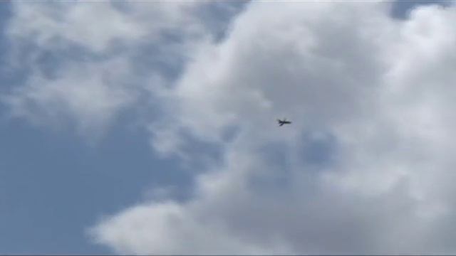 FEJ A7 tiger meet color смотреть онлайн