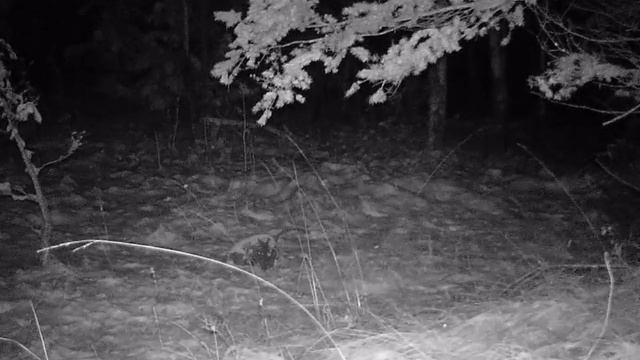 Suntek HC-800 смотреть онлайн