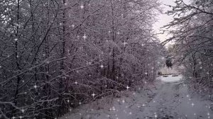 ЛЮБИМУЮ ПЕСНЮ МОЖНО СЛУШАТЬ БЕСКОНЕЧНО. ЕВГЕНИЙ КОНОВАЛОВ.,, А ЗА ОКОШКОМ ВЕТЕР ВЬЮЖИТ"