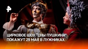 Цирковое шоу «Сны Пушкина»: чем новый проект удивит зрителей