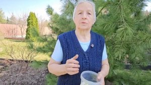 Ответ на вопрос - куда девать скорлупу от освященных яиц?