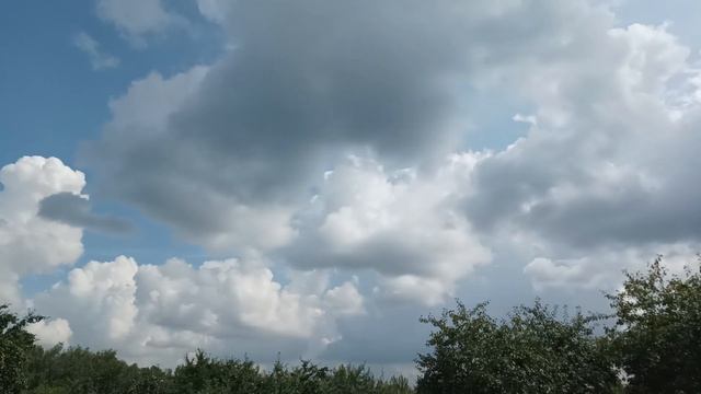 6 августа 2024 г.