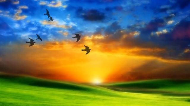 Toshiyuki Kishi - Flowers in the night sky смотреть онлайн