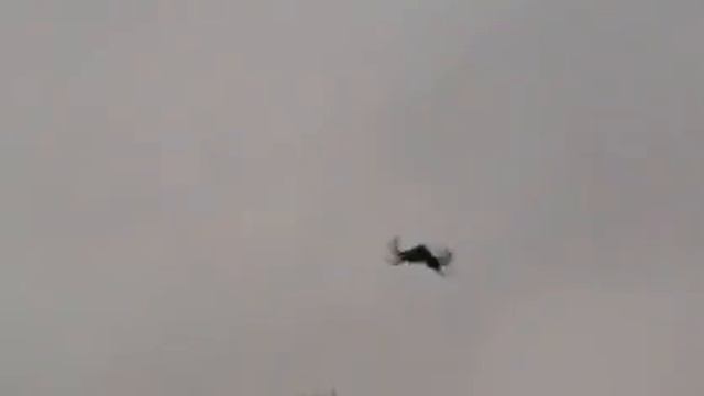 голуби игоря сало смотреть онлайн