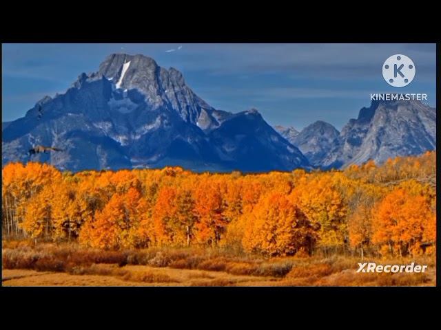 готовимся к встрече смотреть онлайн